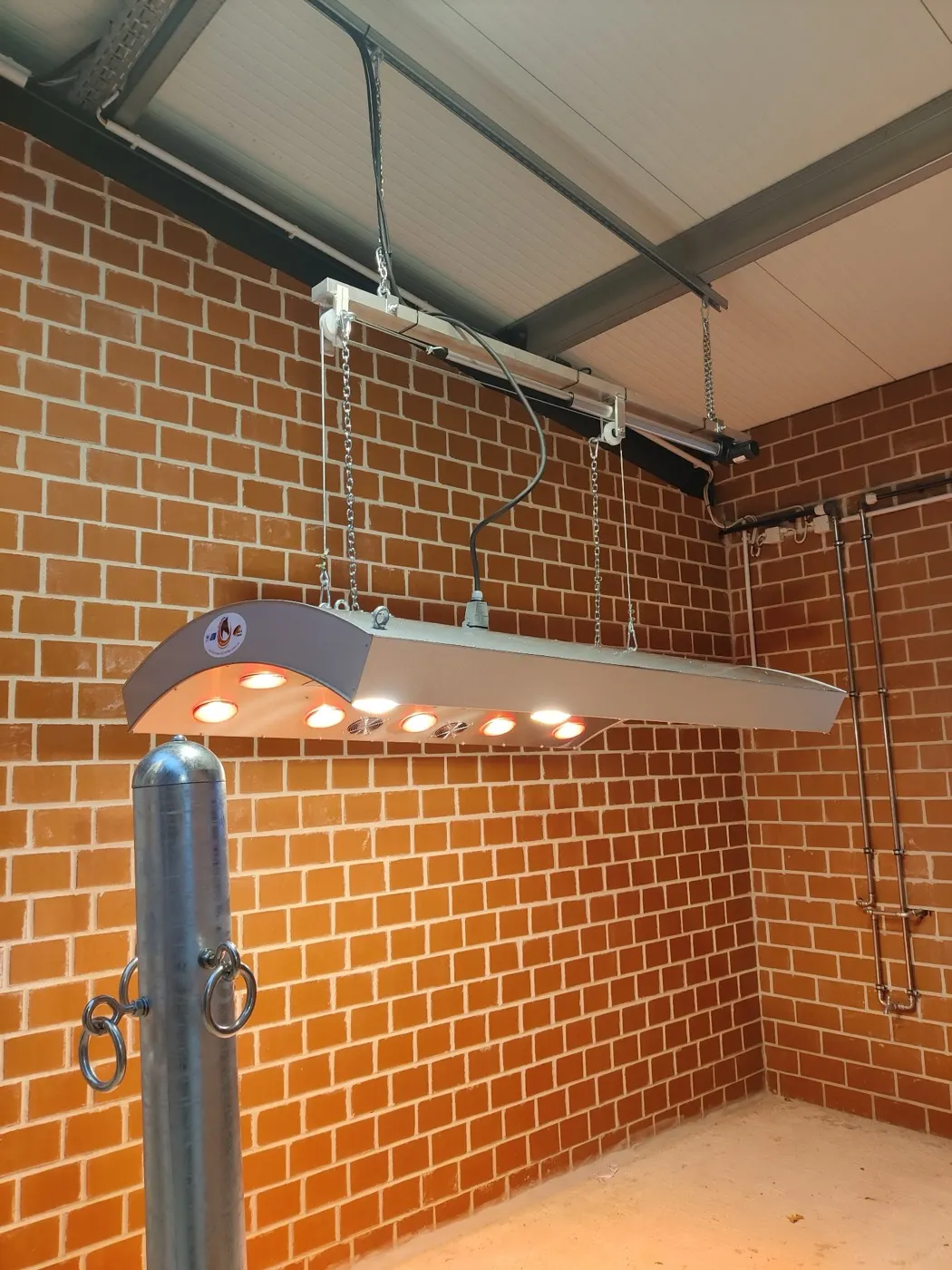 Solaride Profi mit Lift von der Seite: Schiene und Motor der elektrischen Abhängung, leuchtend über leerer Stallgasse.